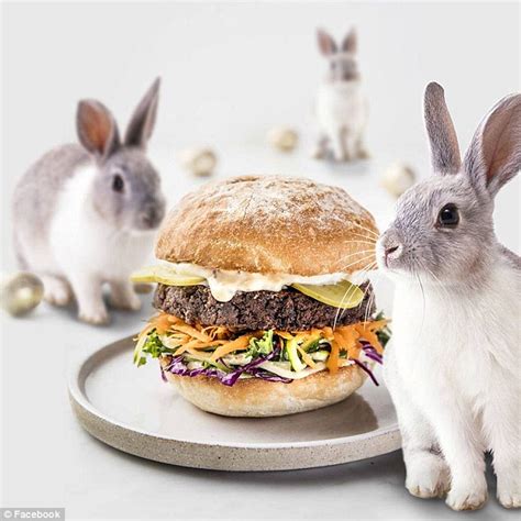 Burger Chain Grill D Have Announced Their Rabbit Burger Is Back Daily Mail Online