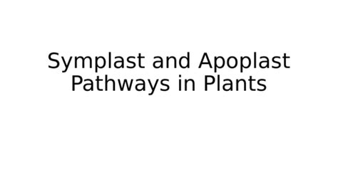 Symplast and Apoplast Pathways in Plants | Teaching Resources