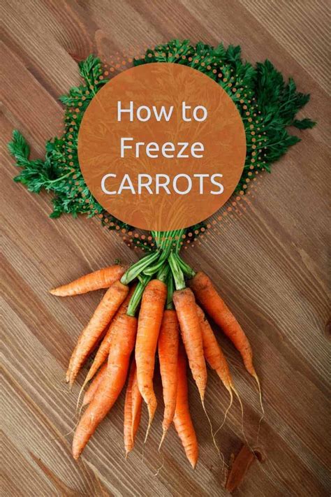 Carrots With The Words How To Freeze Carrots On Top