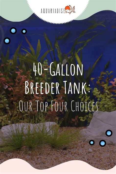 40 Gallon Breeder Tank Our Top Four Choices Aquariadise