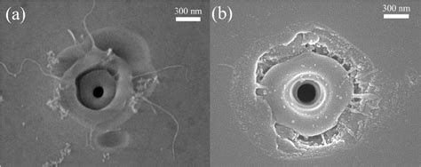 Figure From Reconstructing Of Embedded High Aspect Ratio Nano Voids