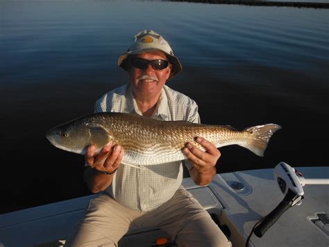 The tide chart Charleston secret for finding the best fishing spots 26