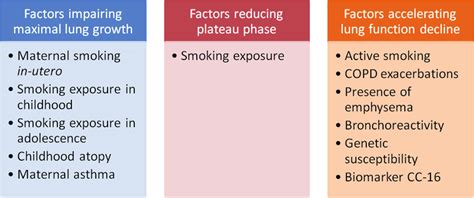 2 Factors Associated With Reduced Lung Function In Different Phases Of