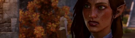 Get Your Freckle On At Dragon Age Inquisition Nexus Mods And Community