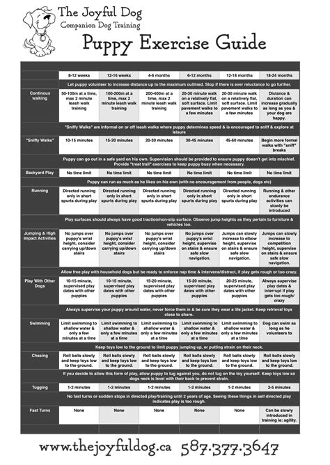 Puppy Exercise Guide – The Joyful Dog