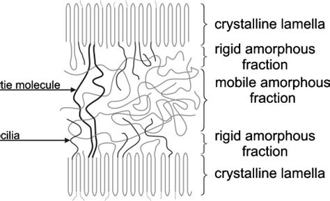 Complex Phase Structure Of Semicrystalline Polymers Where Amorphous