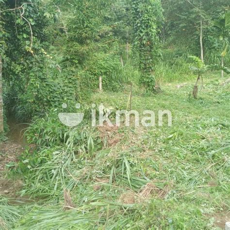 Land For Sale In Homagama Ikman