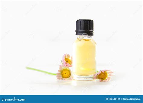 Essence Des Fleurs Sur La Table Dans Le Beau Pot En Verre Image Stock