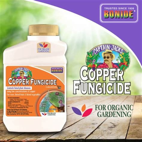 Bonide Liquid Copper Concentrated Liquid Fungicide 16 Oz Total Qty