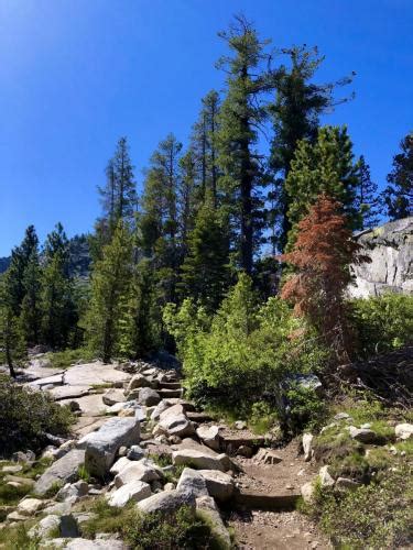 Hiking to Lake Aloha, Desolation Wilderness - Grey Otter Outventures®