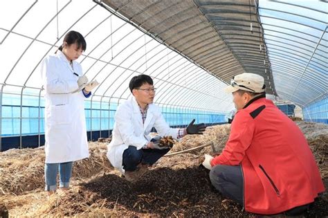 전북 천마·제주 비트 지역色 69개 작목 ‘위기 농촌 구원투수로 서울신문