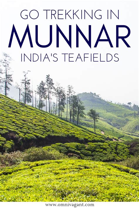 Go Trekking in Munnar - One of India's Most Beautiful Hill Stations ...