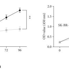 Overexpression Of Hand As Repressed Proliferation Migration And