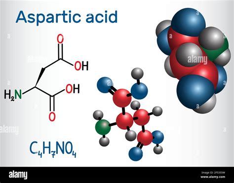 Aspartic Acid L Aspartic Acid Asp D Aspartate Proteinogenic Amino Acid Molecule