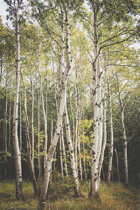 Acadia National Park Photography Maine Wall Art Acadia Maine Etsy