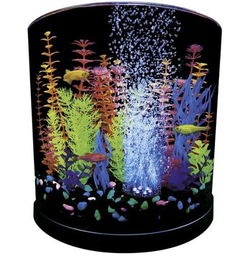 Best 3 Gallon Fish Tank in 2024 (Reviews & Buying Guide) | IBMK