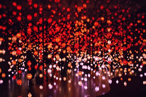 Intelligent Cloud - Lights for Moths