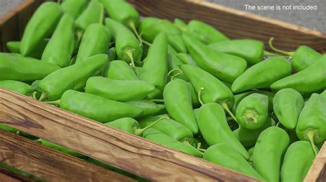 Green Hot Pepper 3D Model 24 3ds Blend C4d Fbx Max Ma Lxo Obj Free3D