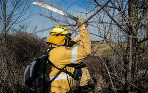 Ambiente Denunciará A Los Dueños De Los Predios Donde Se Iniciaron Los