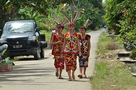 Muggle Di Harry Potter Ada Hubungannya Dengan Suku Dayak