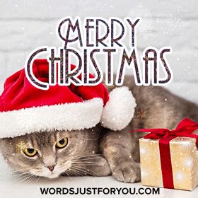 Cute Merry Christmas Gif - 6911 » WordsJustforYou.com - Original ...