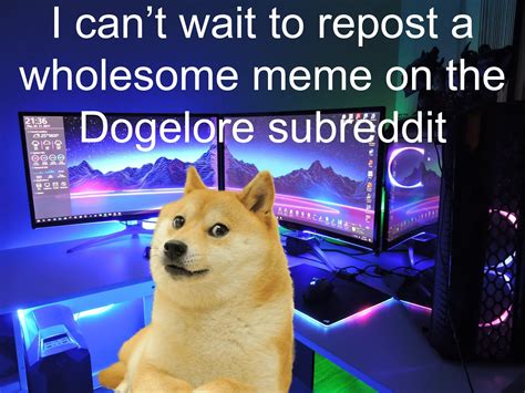 Le Half Of This Subreddit Arrived Rdogelore Ironic Doge Memes