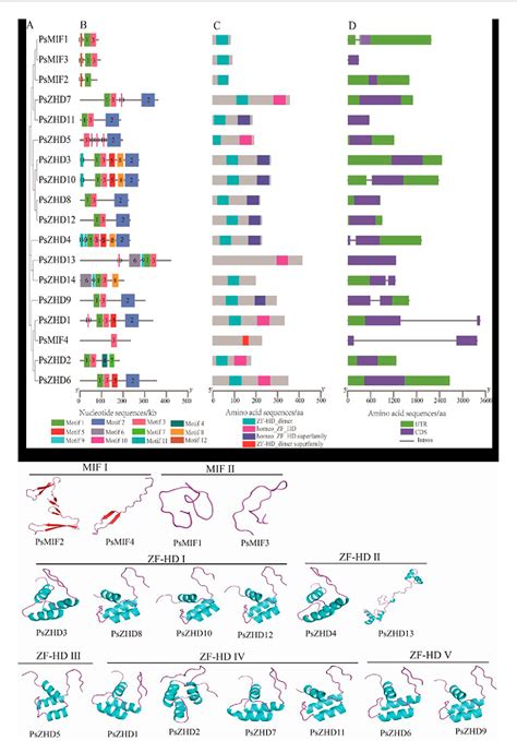 Figure From Genome Wide Identi Cation And Expression Analysis Of