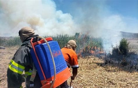 Tras Incendio En Laguna De Yuriria Autoridades Afirman Que No