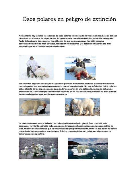 Osos polares en peligro de extinción by roberto camacho gonzalez Issuu