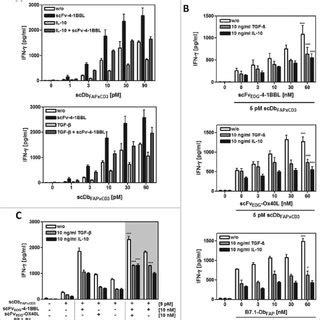 Effect Of Exogenous IL 10 And TGF B On PBMC Stimulation By Fusion