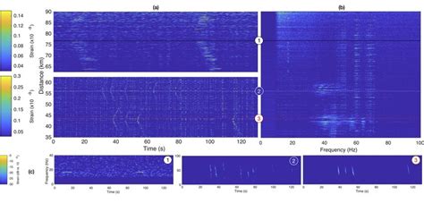 Vocalizing Baleen Whales Recorded Simultaneously At Three Dfferent