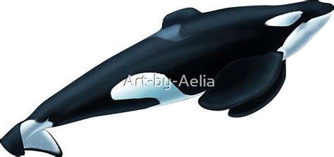 "Tilikum the Orca" Stickers by Art-by-Aelia | Redbubble