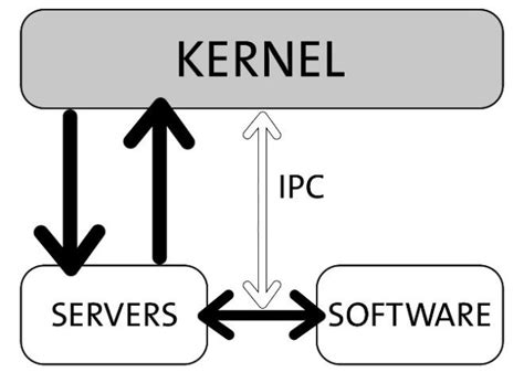 Microkernels Model 1 Download Scientific Diagram