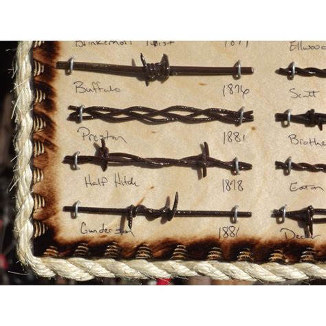 Antique Barbed Wire Display 27 Cuts Authentic Barbwire Collection Etsy