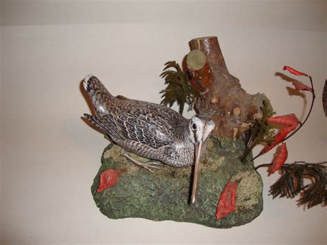 Some of my wooden favorite duck decoys | Collectors Weekly