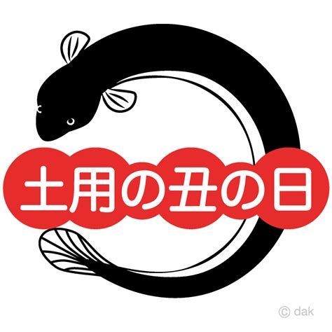 丸うなぎの土用の丑の日イラストのフリー素材｜イラストイメージ