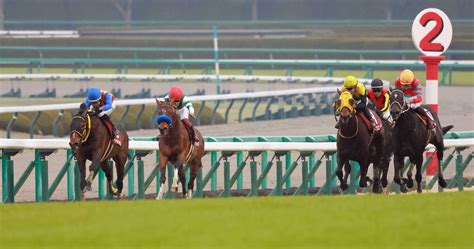 【阪神大賞典】テーオーロイヤルが5馬身差の圧勝劇 菱田「めっちゃ、強い」2年前の雪辱へ 競馬ニュース