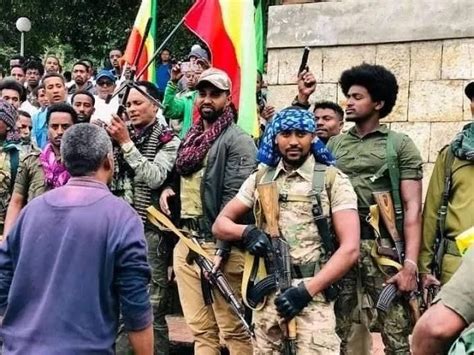 Amhara Forces Leadership Responds To Ambassador Massingas Call For