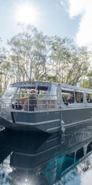 Noosa Everglades Explorer Cruise With Optional Canoeing GetYourGuide