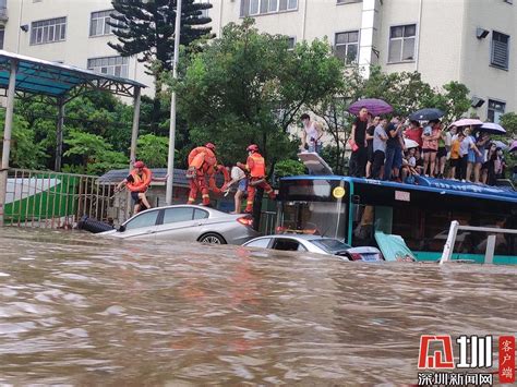 In视频突发暴雨！深圳20名乘客被困公交车顶 消防徒步涉水救援深圳新闻网