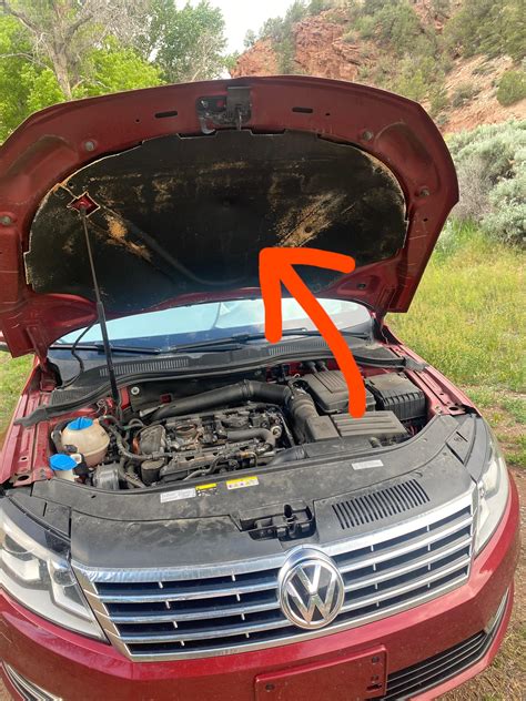 What is the point of the hood insulation besides absorbing some engine