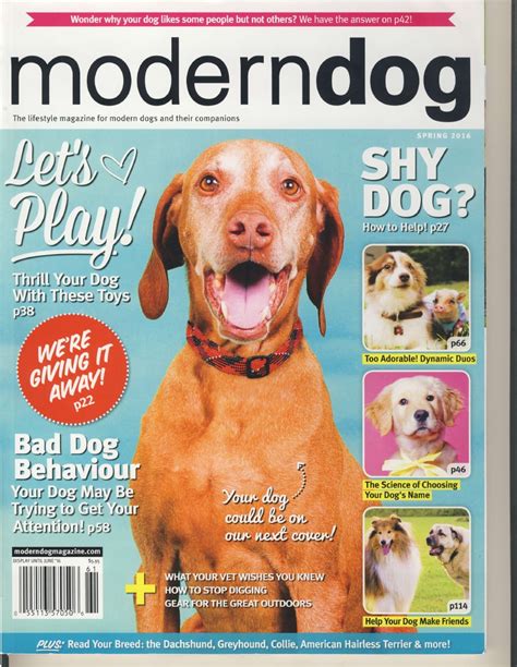 Animal Aid Usa Featured In Modern Dog Magazine Animal Aid Usa