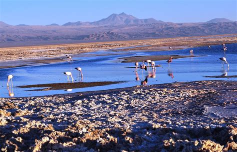 Atacama Salt Flat And Toconao Town Tour