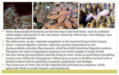 Extremophiles