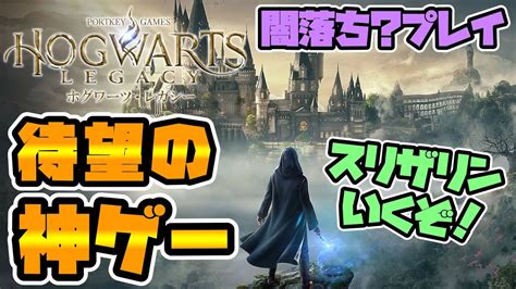 1【ホグワーツレガシー】待望の約束された神ゲー🔥スリザリンで闇落ち？プレイする！w【ホグワーツレガシー Hogwartslegacy