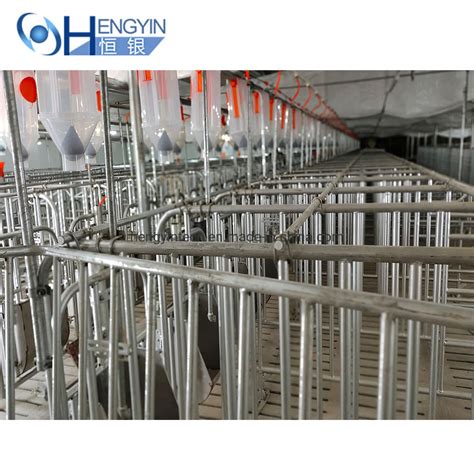 Sow Gestation Crate Hot Dip Galvanized Pig Cage China Self Locked