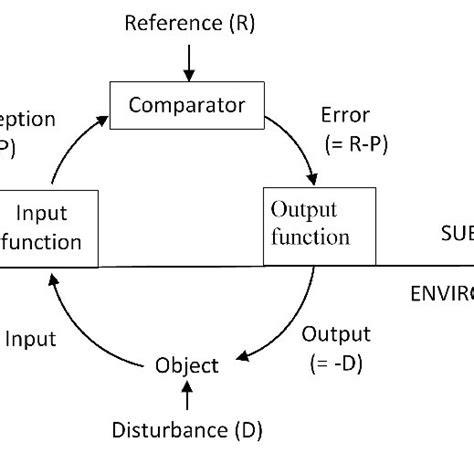 Th E Model Of The Negative Feedback Loop Download Scientific Diagram