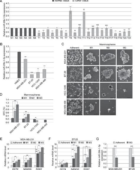 Figure 1 From Suppressive Role Exerted By MicroRNA 29b 1 5p In Triple