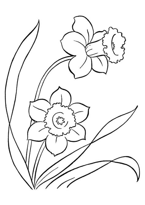 Print Coloring Image Momjunction Spring Coloring Pages Flower