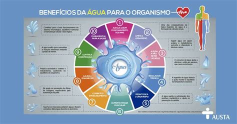 Benefícios Da água Para O Organismo Infográfico